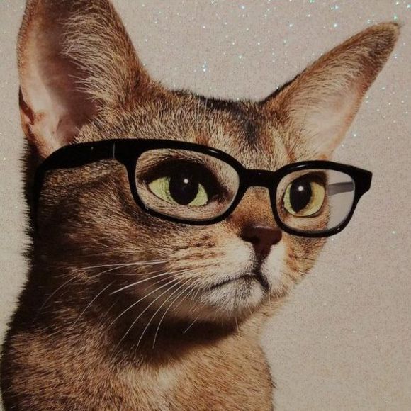 Meet your Posher, Sarah - Picture 1 of 1